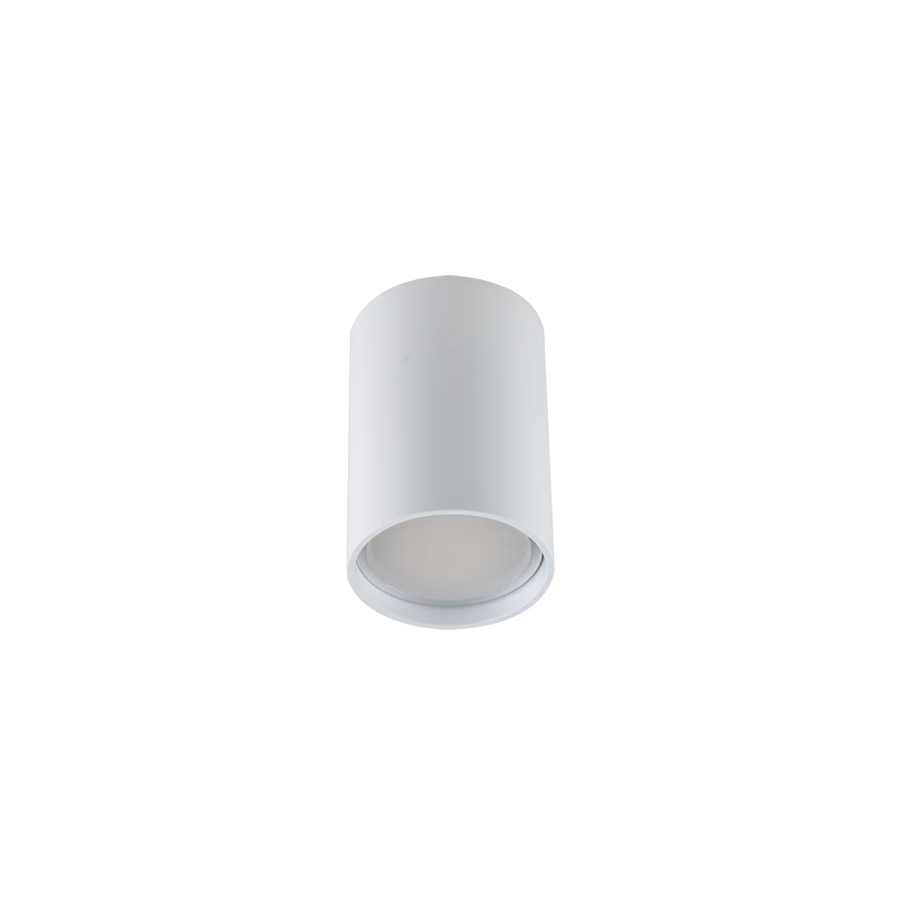 R 51A D55 WH Накладной неповоротный Акция - Viokon.com