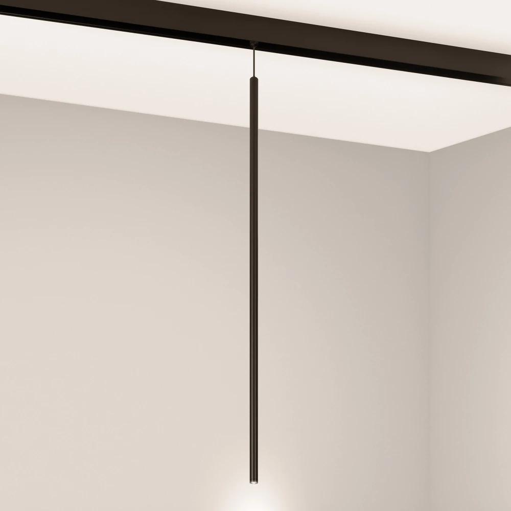 Светильник MAG-ORIENT-SPOT-HANG-L600-R12-2W Warm3000 (BK, 20 deg, 48V) (Arlight, IP20 Металл, 5 лет) 044502 - Viokon.com