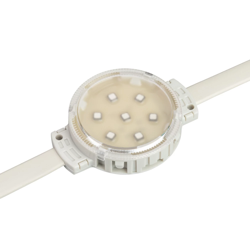 Модуль управляемый SPI-F7-D50 24V RGB-RAM-Auto (1.25W, IP68, 120 deg) (Arlight, Пластик, 3 года) 036826 - Viokon.com