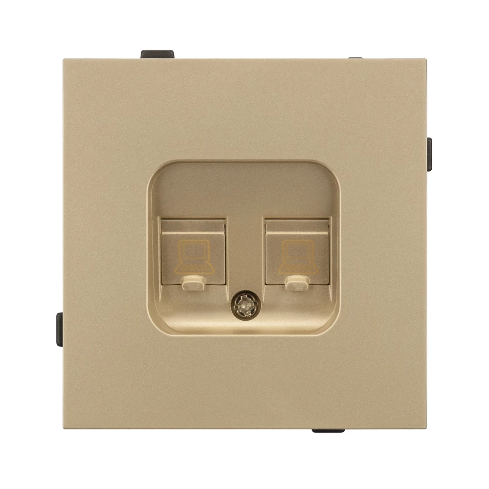Механизм компьютерной розетки двойной SCT-TENDO-MPC2-SFPL-GD (RJ-45, CAT6) (Arlight, Матовый песочный) 054596 - Viokon.com
