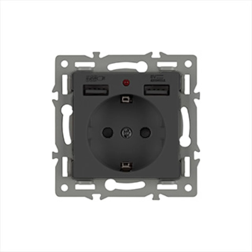 Механизм розетки с USB зарядкой SCT-MUAA-PL-BK (250V, 16A) (Arlight, -) 043734 - Viokon.com