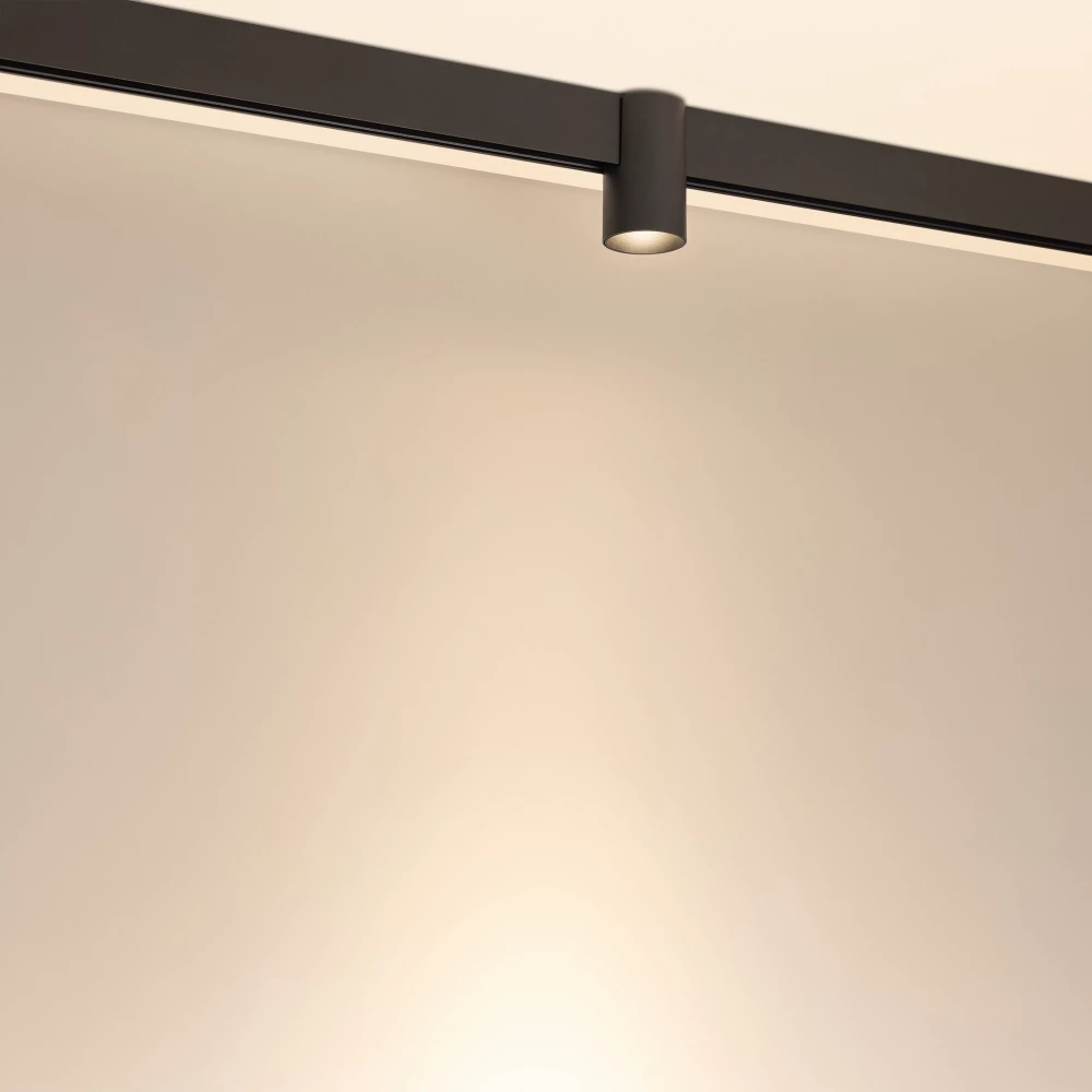 Светильник MAG-ORIENT-AXIO-R60-15W Warm3000 (BK, 24 deg, 48V) (Arlight, IP20 Металл, 5 лет) 059257 - Viokon.com