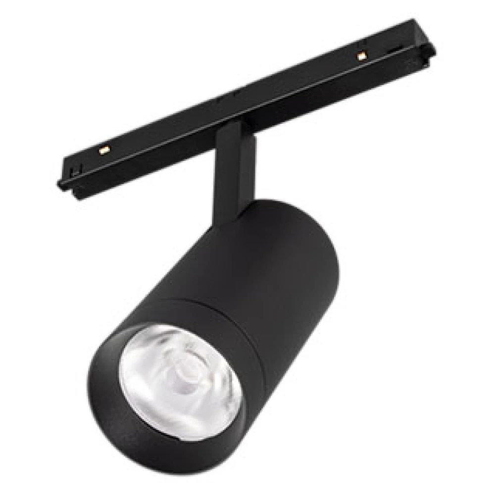 Светильник MAG-FLEX-SPOT-R65-20W Day4000 (BK, 24 deg, 48V) (Arlight, IP20 Металл, 5 лет) 037707 - Viokon.com