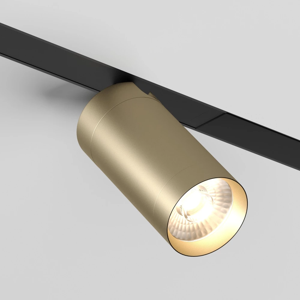 DK8020-BG Акцентный светильник SMART SPOT 20W DIM 3000K-6000K матовое золото с черным - Viokon.com