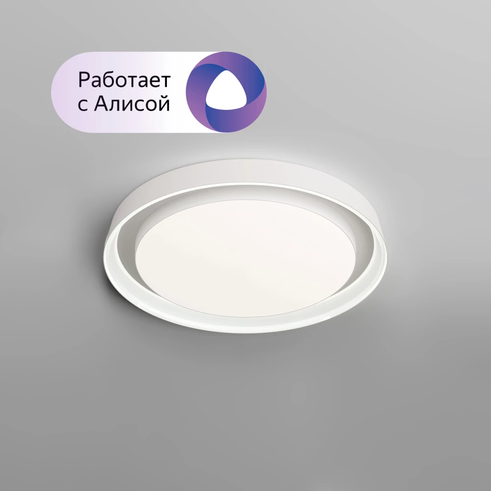 DK6515-WH Накладной светильник LED 40W IP 20 3000K - 6500K белый металл полимер - Viokon.com