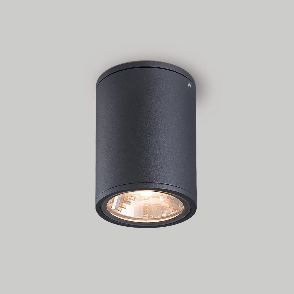 Светильник LGD-FORMA-SURFACE-R90-12W Day4000 (GR, 44 deg, 230V) (Arlight, IP54 Металл, 3 года) 032576 - Viokon.com