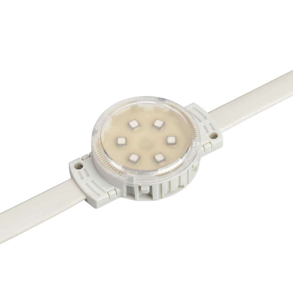 Модуль управляемый SPI-F6-D40 24V RGB-RAM-Auto (1.25W, IP68, 120 deg) (Arlight, Пластик, 3 года) 036828 - Viokon.com