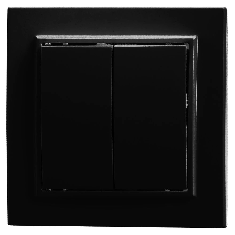 Выключатель 2-клавишный STEKKER, PSW10-9004-03, 250V, 10А, серия Эрна, черный (39473) - Viokon.com