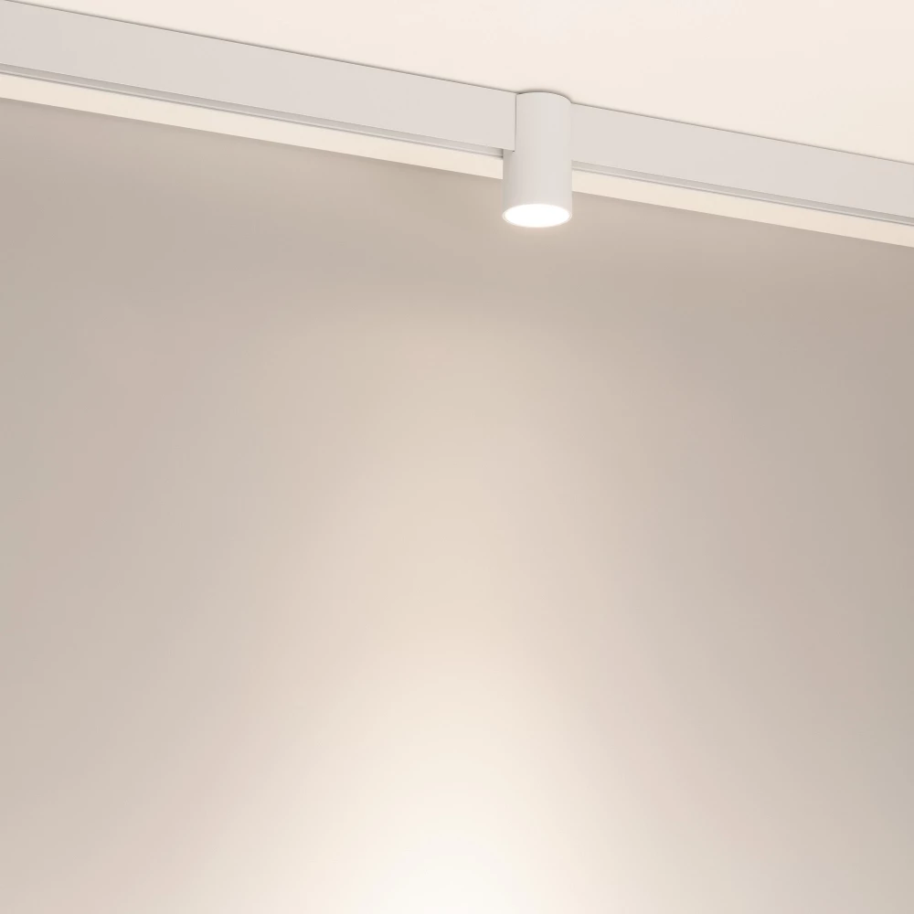 Светильник MAG-ORIENT-AXIO-R60-10W Day4000 (WH, 24 deg, 48V) (Arlight, IP20 Металл, 5 лет) 059254 - Viokon.com